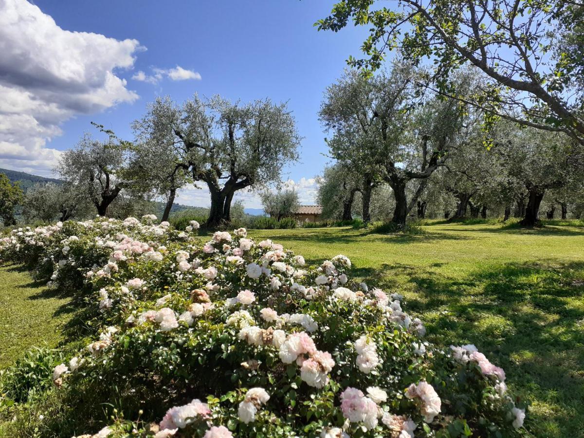 La Fornella Dell'Anita Villa Pelago Kültér fotó