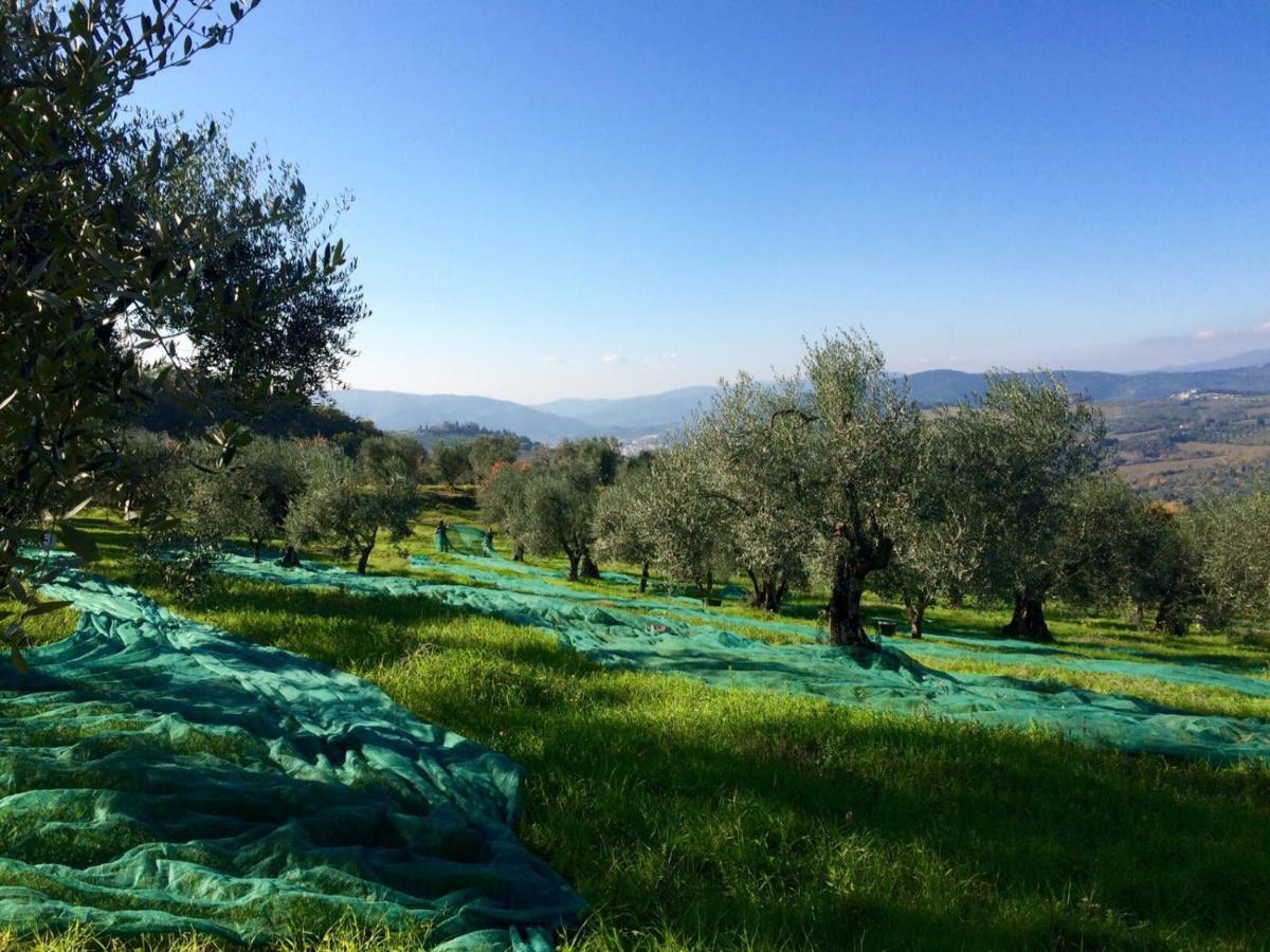 La Fornella Dell'Anita Villa Pelago Kültér fotó